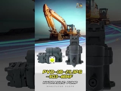 مضخة حفرة ناشي الرئيسية PVD-0B-21L3PS-6G3-4694F مضخة هيدروليكية